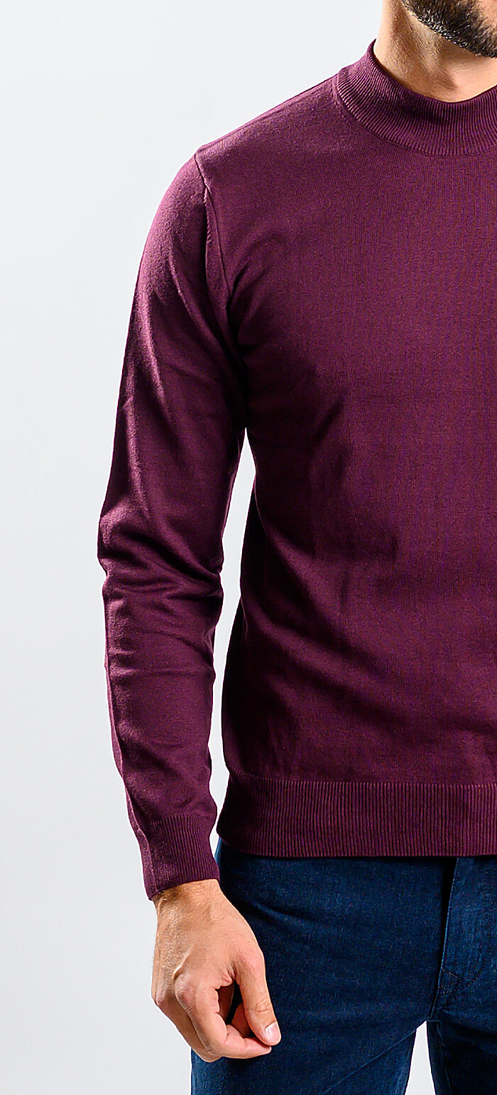 Eggplant cotton turtleneck