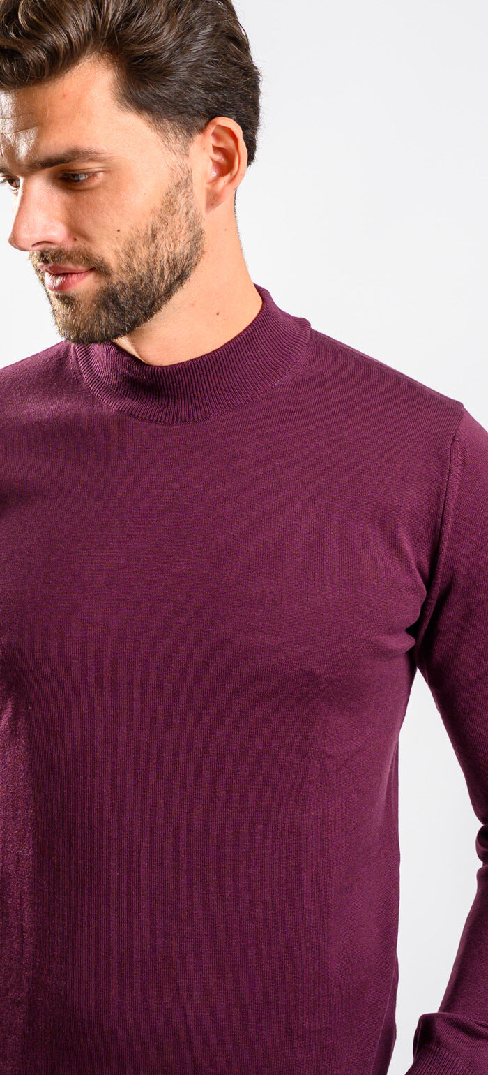 Eggplant cotton turtleneck
