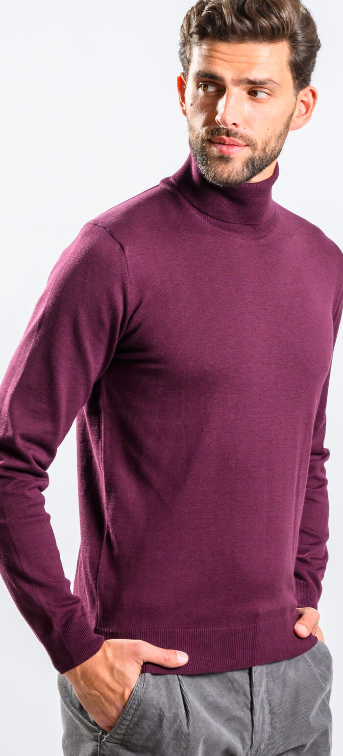 Eggplant cotton turtleneck
