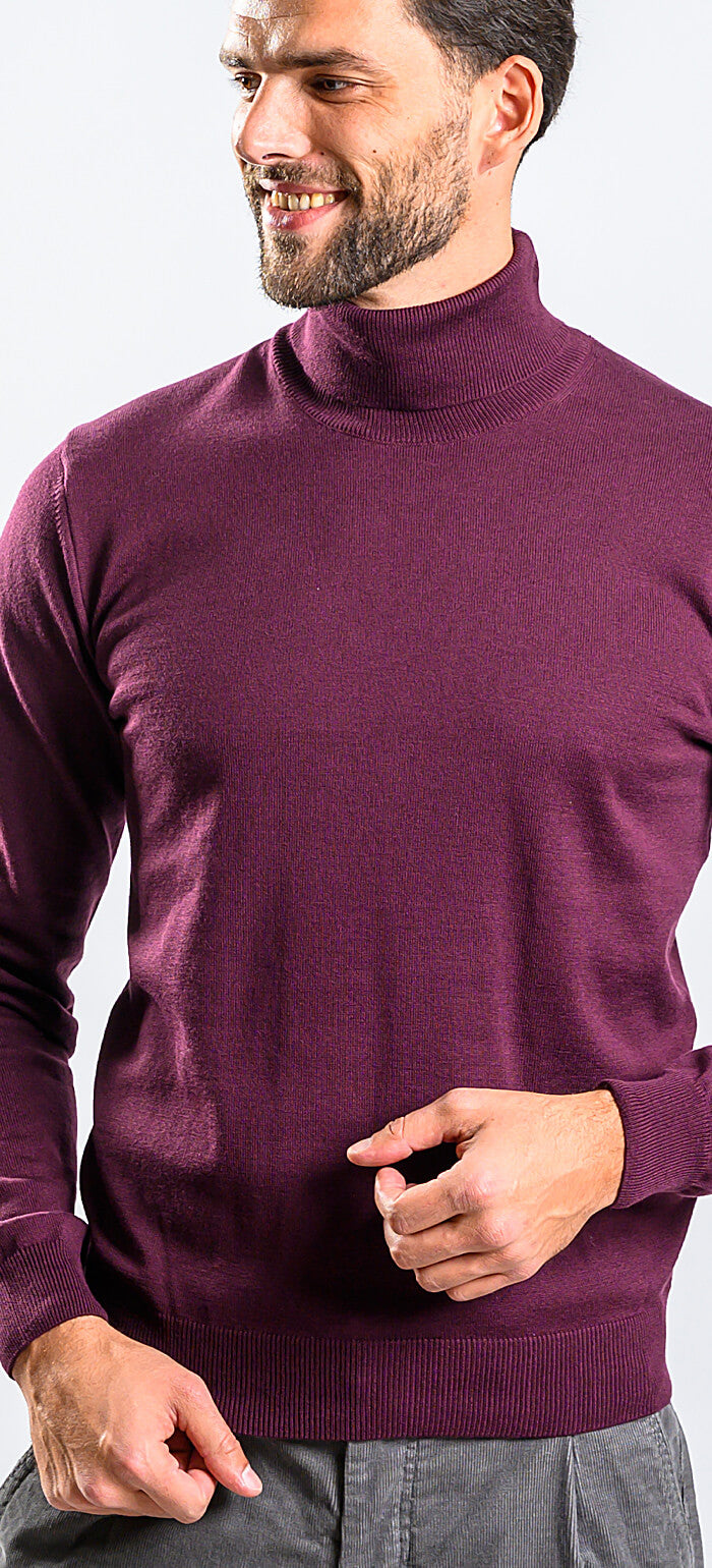 Eggplant cotton turtleneck