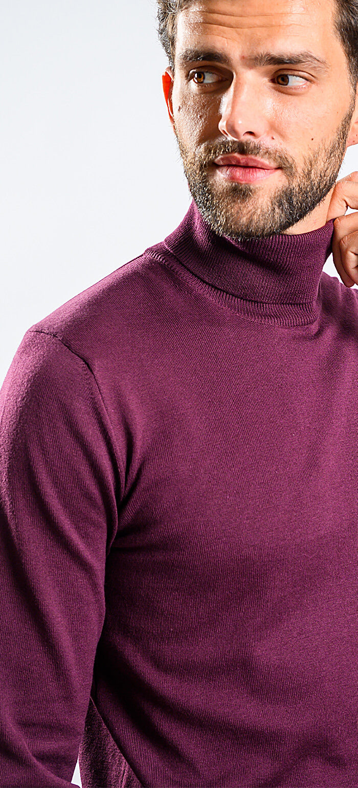 Eggplant cotton turtleneck